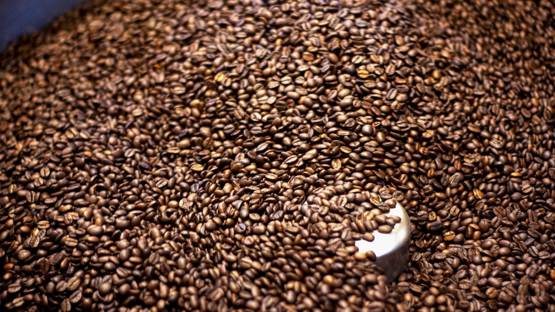 10 tendances actuelles dans le monde du café : quoi de neuf en 2026?