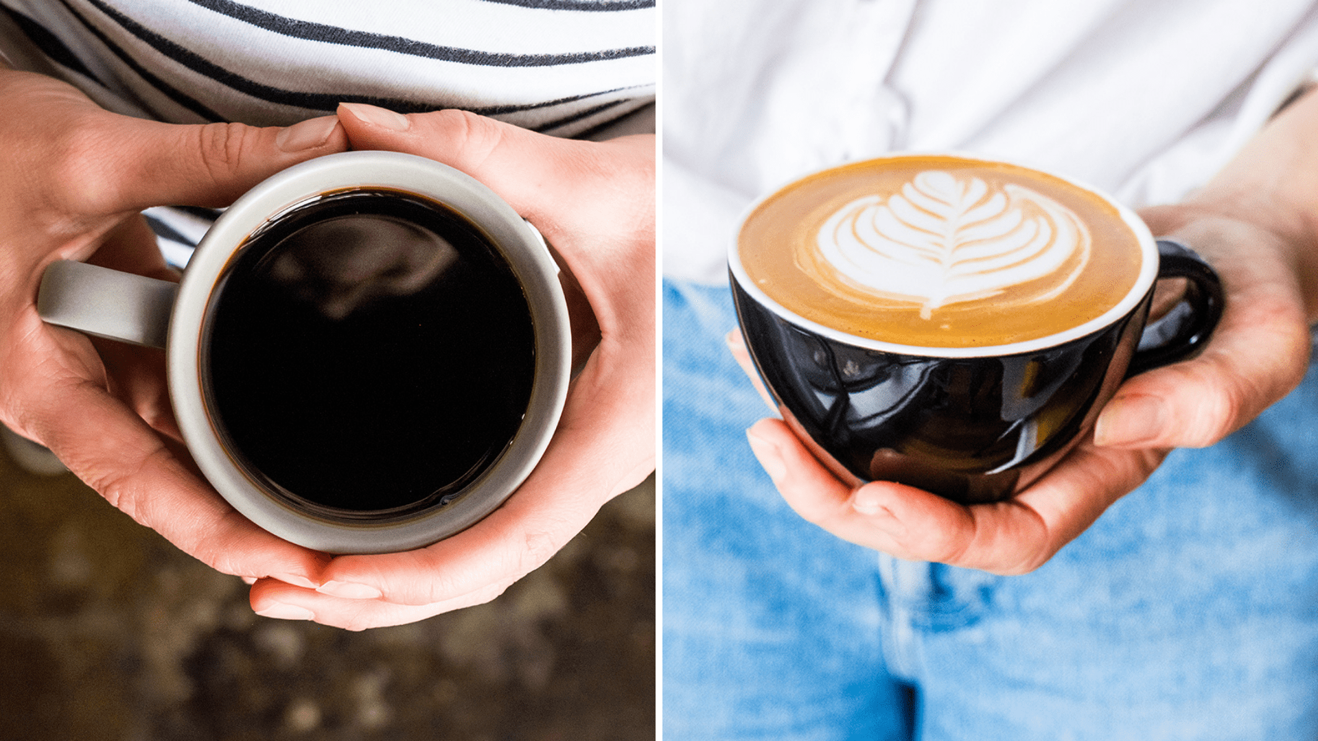 Comment choisir son café? - Café Barista