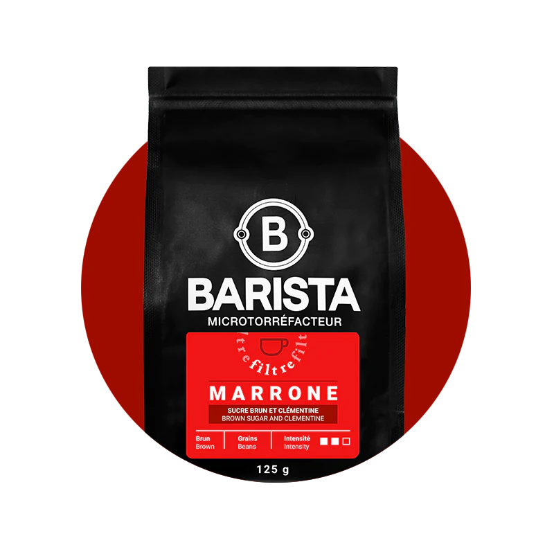 sac de cafe filtre marrone filter coffee bag barista