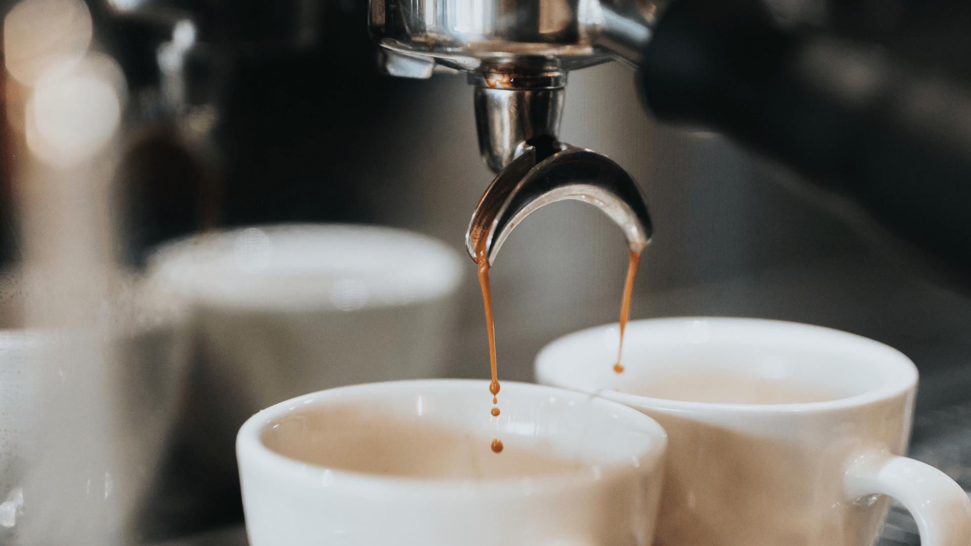 Comment faire un espresso simple court?  Barista Microtorréfacteur - Café  Barista