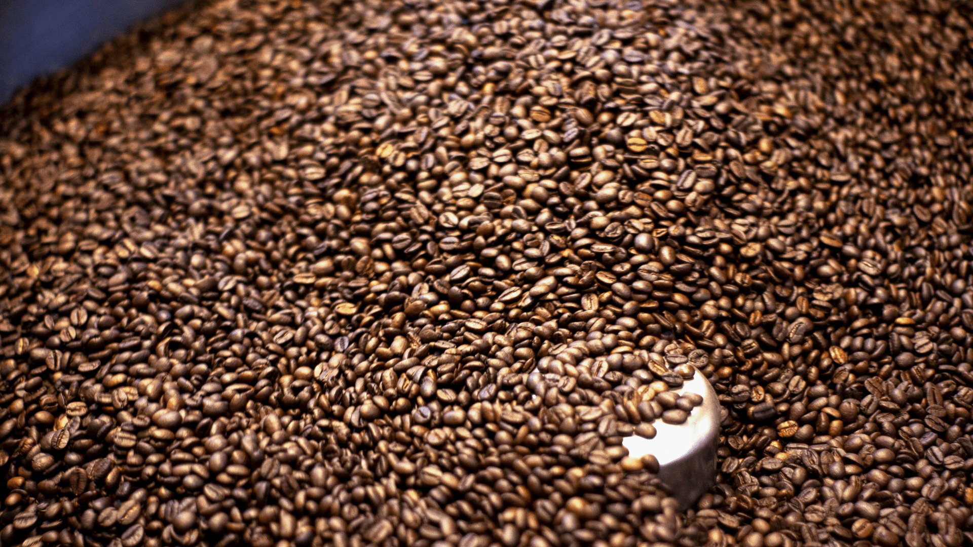 Café grains arabica