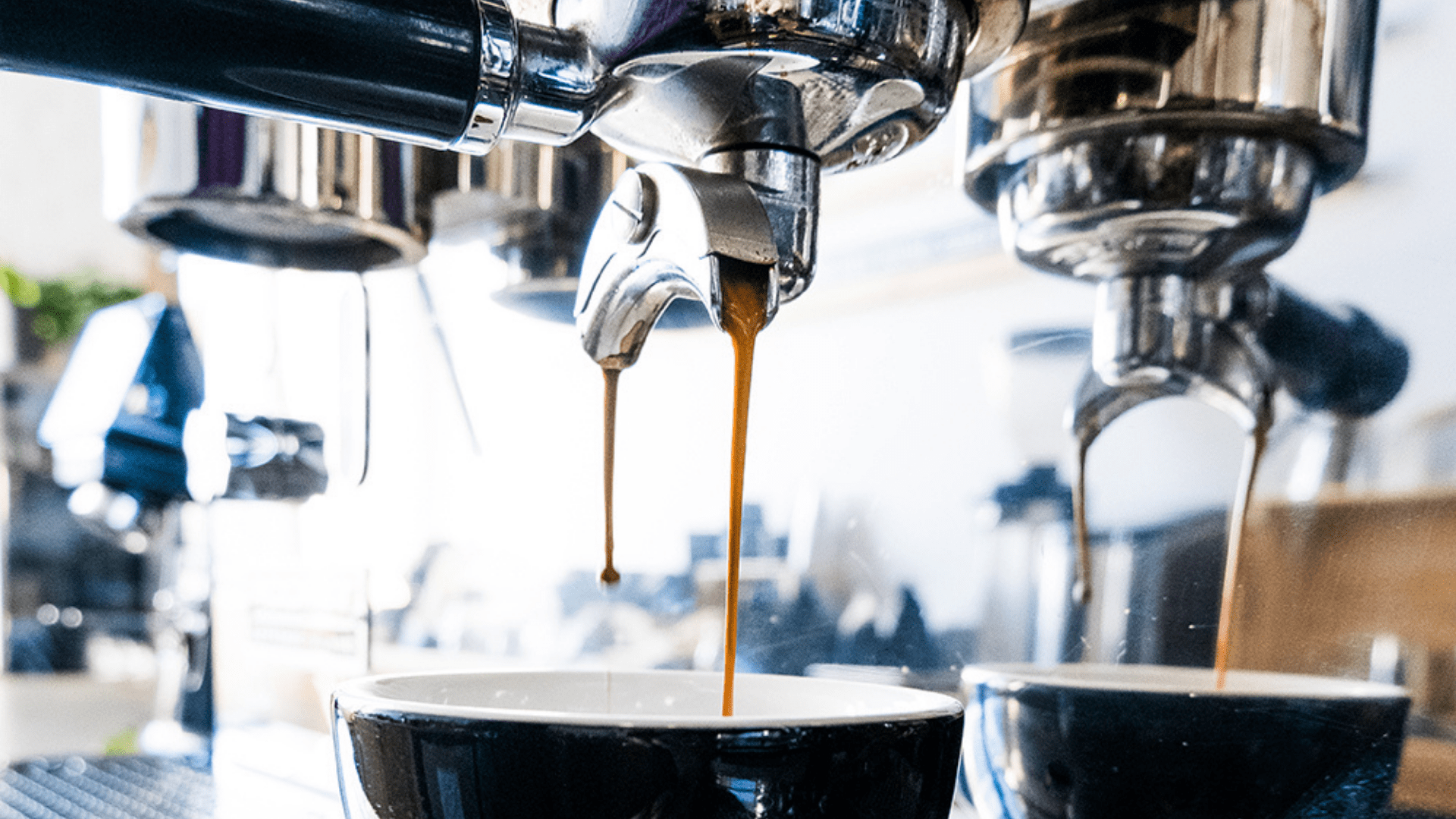 How to Make a Long Double Espresso Barista Coffee Caf Barista