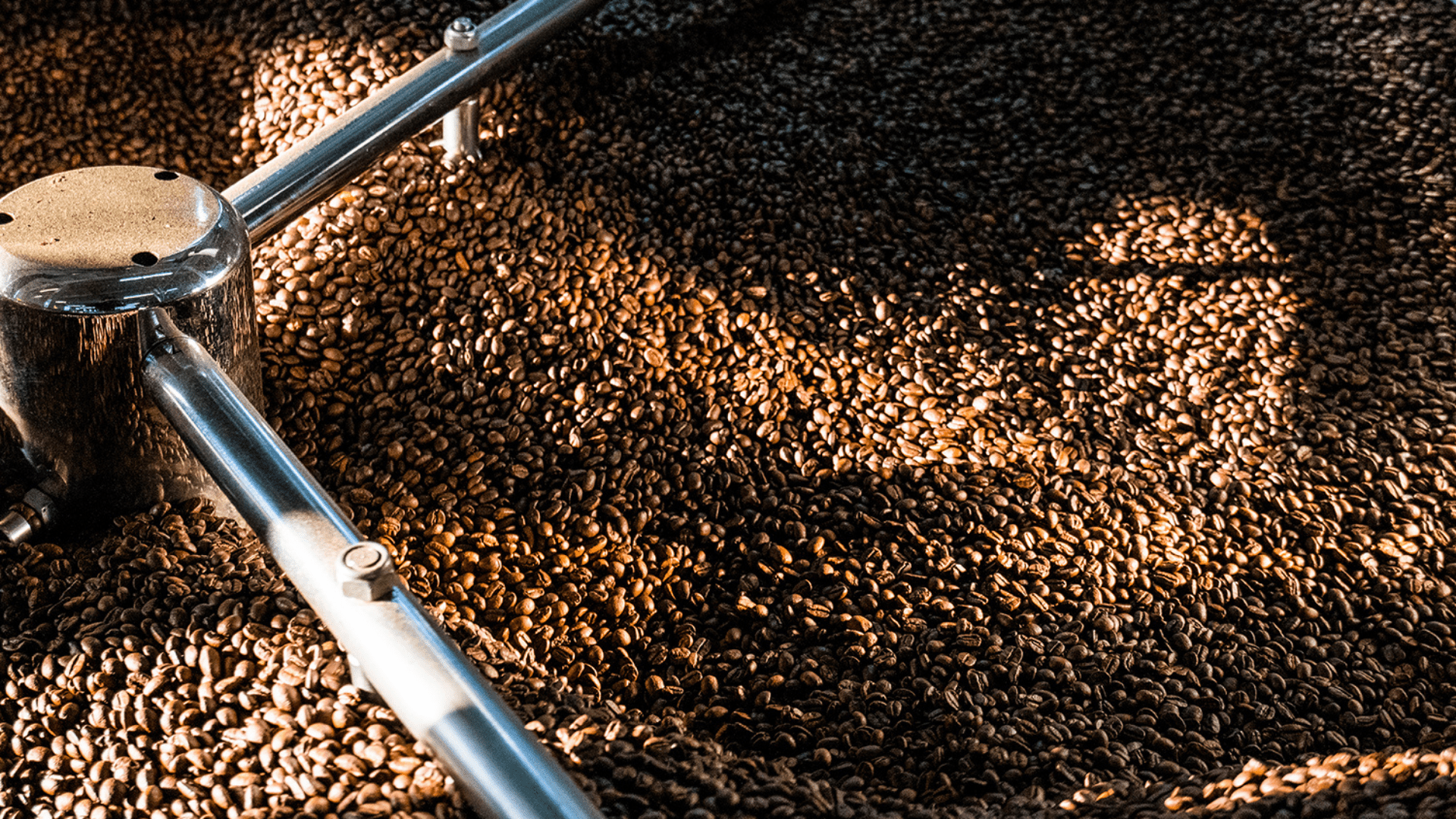 Croître sa production de café avec l’aide du MAPAQ - Café Barista