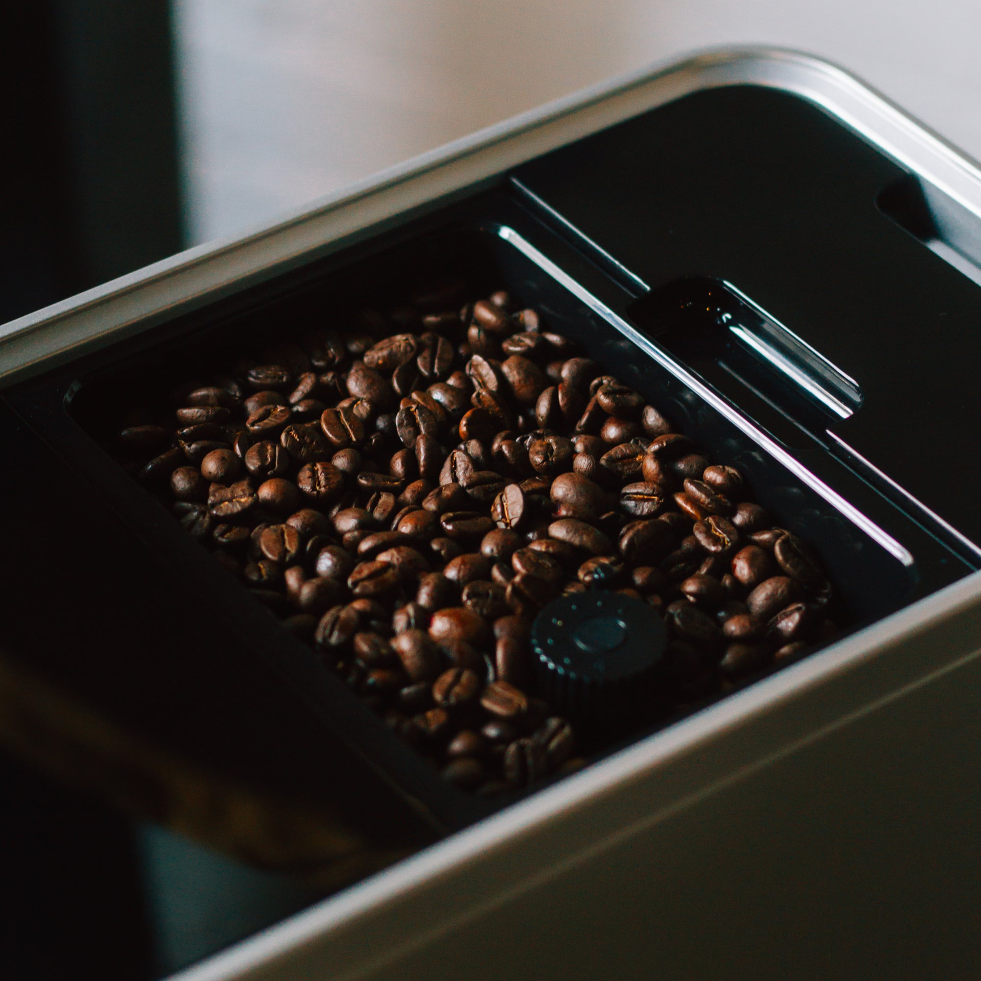 coffee beans in espresso machine bellucci slim caffe compartiment à grains de cafe