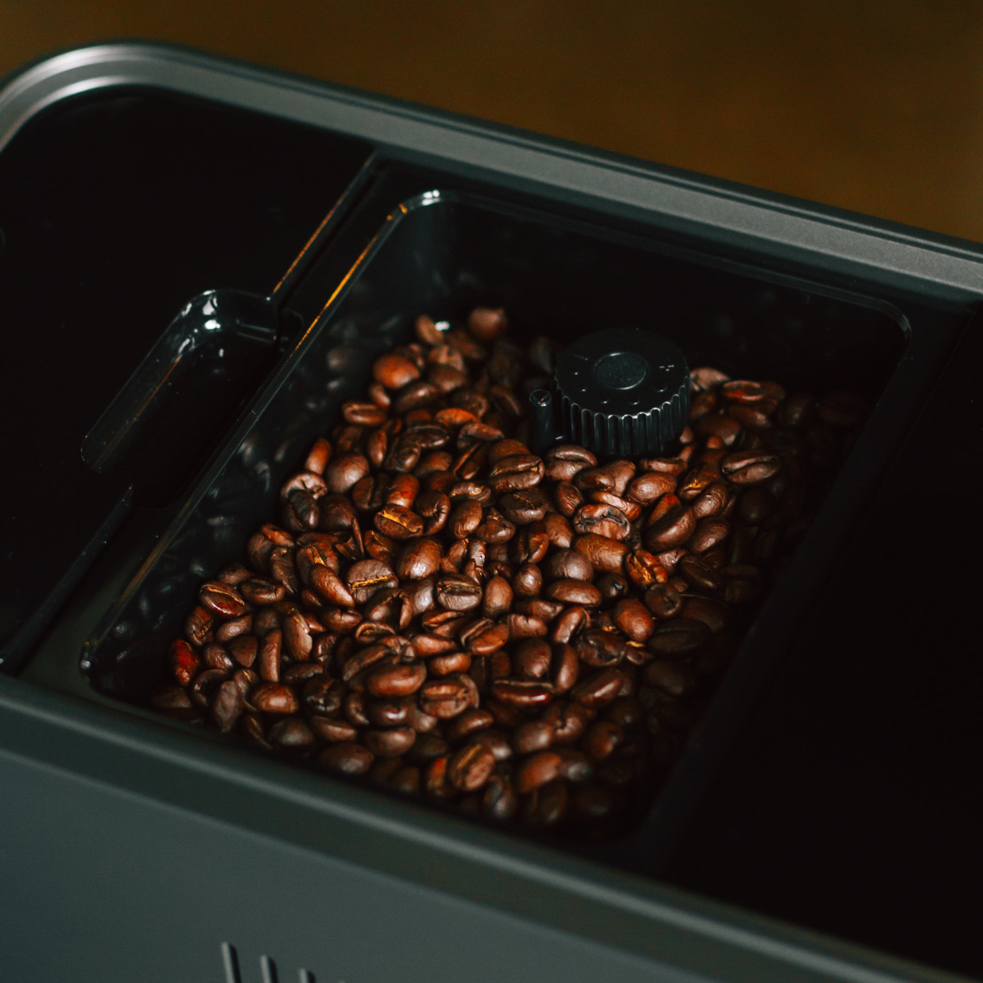 bellucci slim latte coffee beans compartment in espresso machine