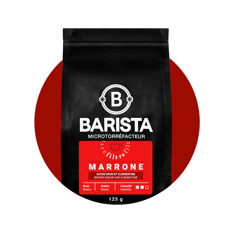 Marrone - Café filtre - Café Barista
