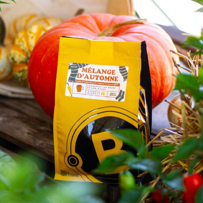 Mélange d'automne - Cafe - Cafe Barista