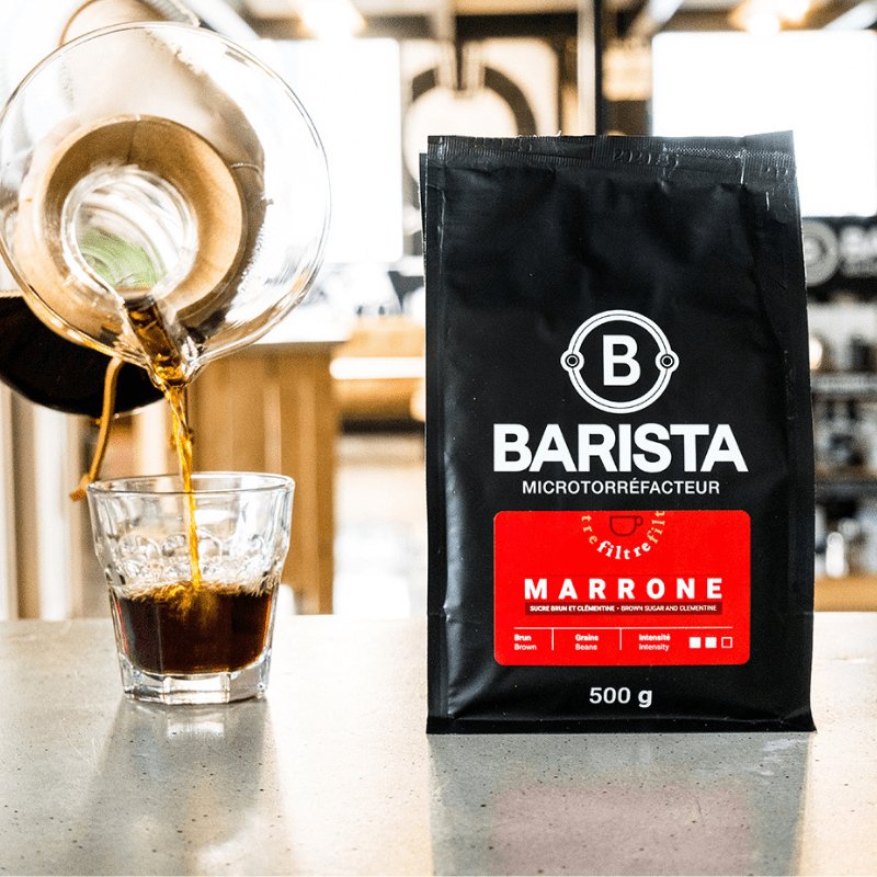 Marrone - Café filtre - Cafe Barista