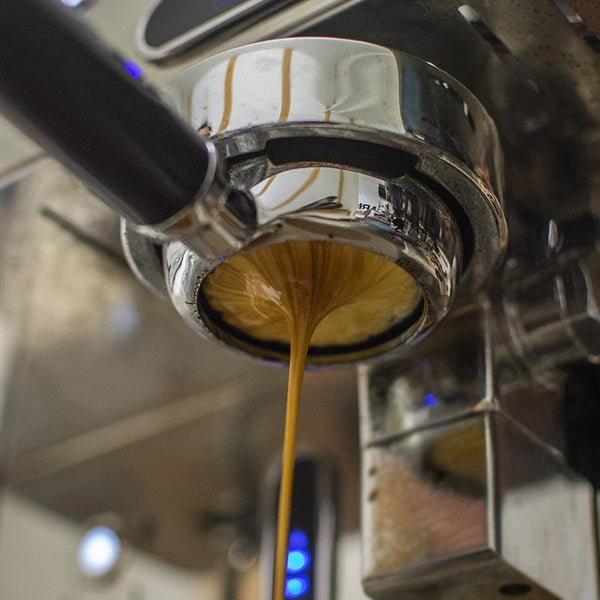 ESPRESSO 101 HOME BARISTA visual data 2